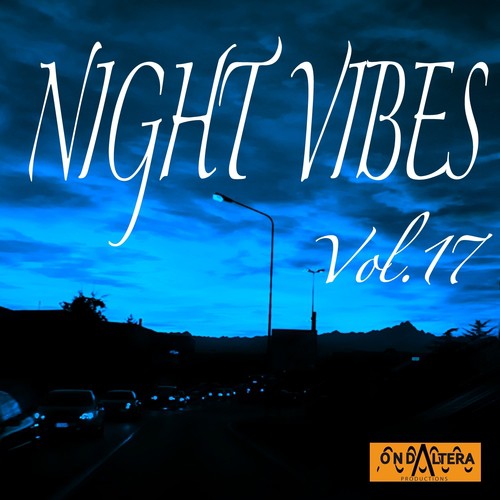Night Vibes, Vol. 17