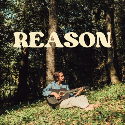 Reason_poster_image