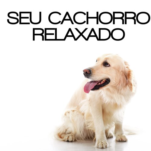 Paz Interior cover art