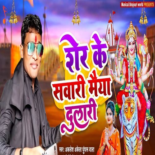 Sher Ke Sawari Mai Dulari_poster_image