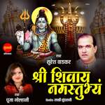 Shri Shivay Namastubhyam