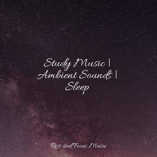 Study Music | Ambient Sounds | Sleep