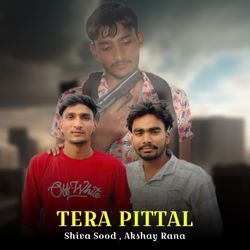 Tera Pittal