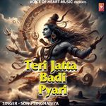 Teri Jatta Badi Pyari