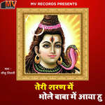 Teri Sharan Mai Bhole Baba Mai Aaya Hu