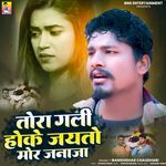 Tora Gali Hoke Jayto Mor Janaja