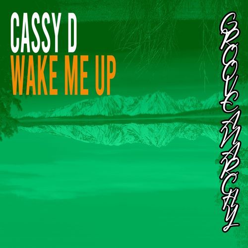 Wake Me Up (Nu Ground Foundation Remix) (Instrumental )