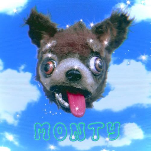 monty (＾ᴥ＾) cover art