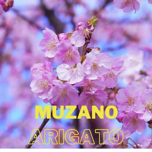 Nindô cover art