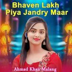 Tery Gum Vich Sajna Ro Ro