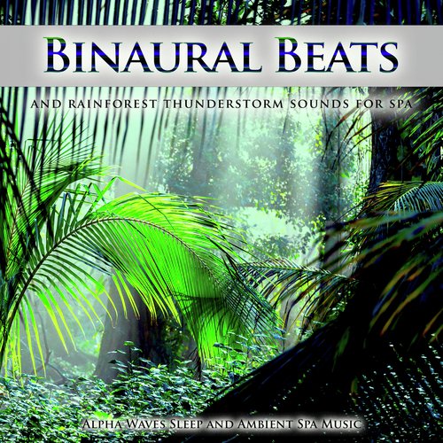 Binaural Beats and Rainforest Thunderstorm Sounds For Spa, Alpha Waves Sleep and Ambient Spa Music_poster_image