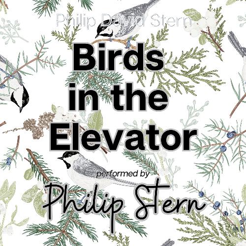 Birds in the Elevator