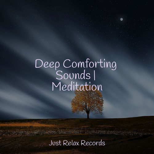 Deep Comforting Sounds | Meditation