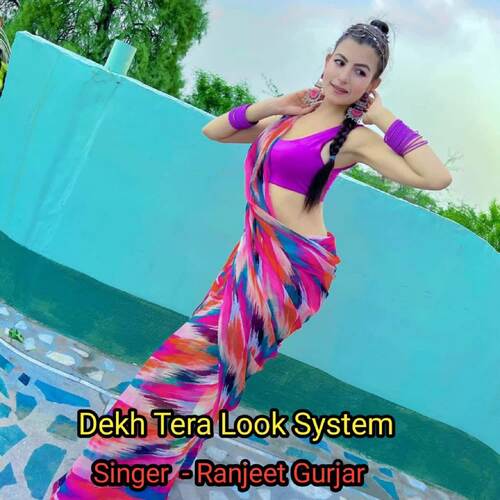 Dekh Tera Look System