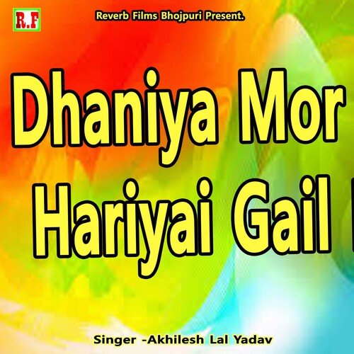 Dhaniya Mor Hariyai Gail