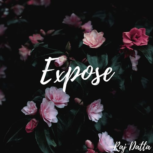 Expose_poster_image