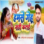 Hamse Gehu Nahi Katai