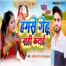 Hamse Gehu Nahi Katai