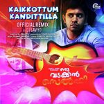 Kaikkottum Kandittilla (Official Remix By DJ Savyo)