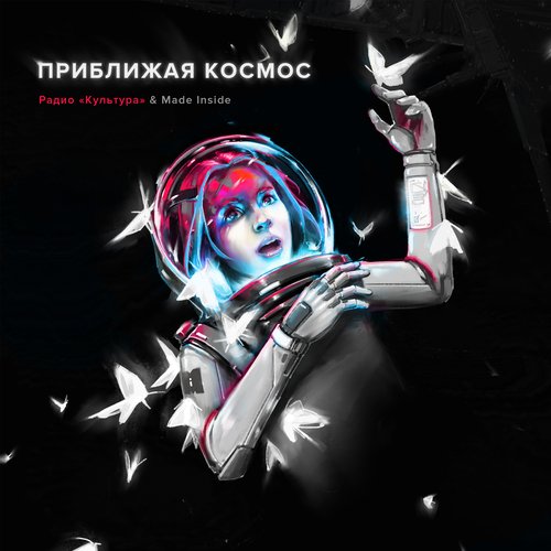 Бесконечная красота cover art