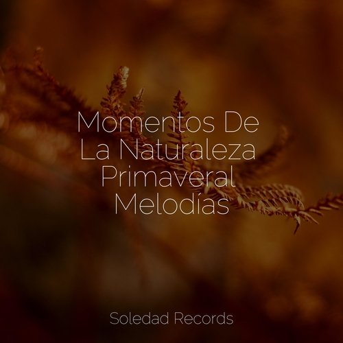 Momentos De La Naturaleza Primaveral Melodías