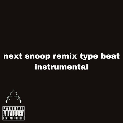 Next Snoop Remix Type Beat Instrumental cover art