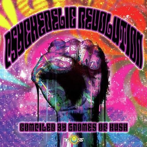 Psychedelic Revolution (Compiled by Gnomes of Kush)