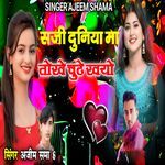 Saji duniya ma tokhe chude