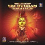 Sri Rudram Chamakam And Sukthas