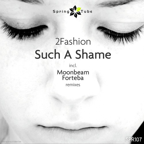 Such a Shame (Moonbeam Remix)