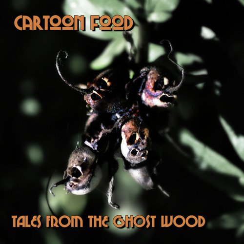 Belly cover art