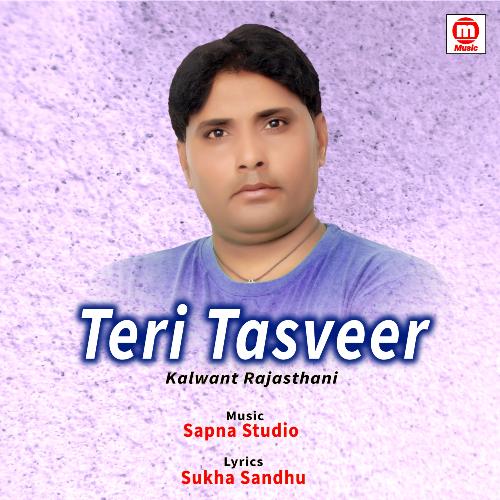 Teri Tasveer