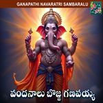 VANDANALU BOJJA GANAPAIAH