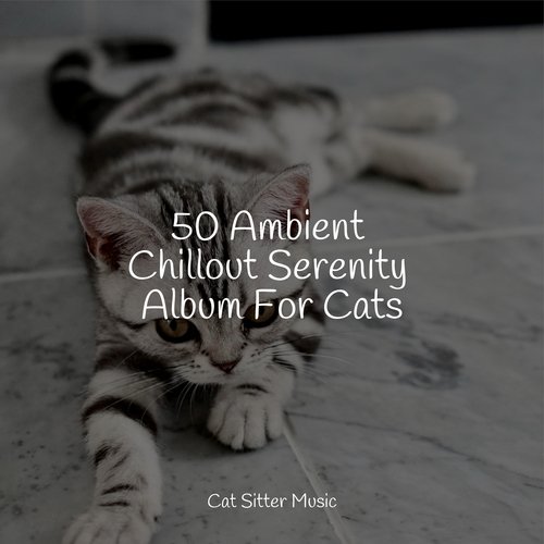 50 Ambient Chillout Serenity Album For Cats