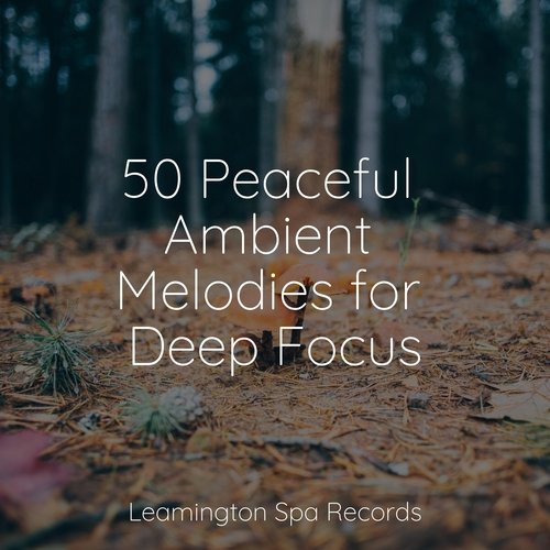 50 Peaceful Ambient Melodies for Deep Focus