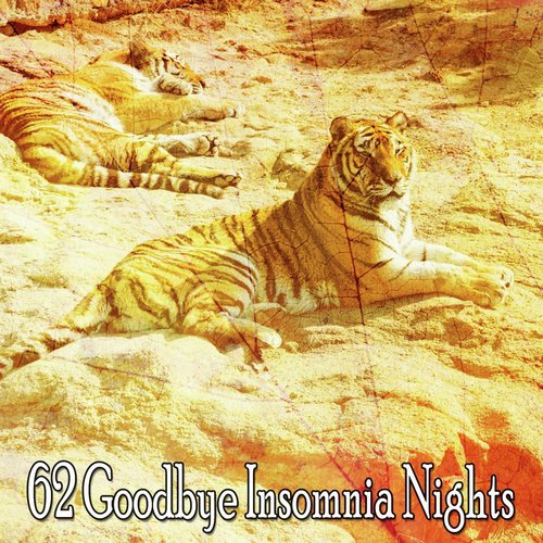 62 Goodbye Insomnia Nights