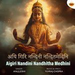 Aigiri Nandini Nandhitha Medhini