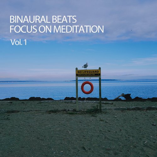 Binaural Beats Focus On Meditation Vol. 1