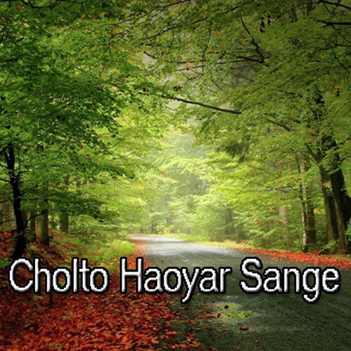 Cholto Haoyar Sange