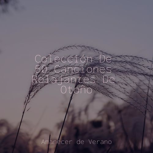 Colección De 50 Canciones Relajantes De Otoño