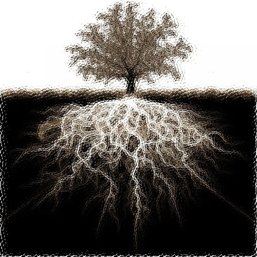 Dubvision (Original Mix) cover art
