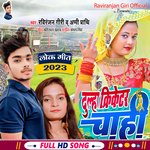 DULHA CRICETER CHAHI