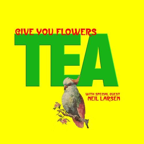 Give You Flowers_poster_image