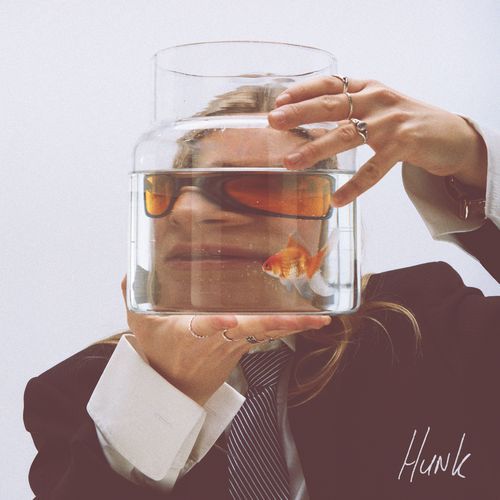 Goldfish cover art