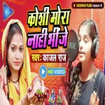 Koshi Mora Nahi Bhije