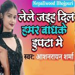 Lele Jaih Dil Hamar Badhake Dupata Me