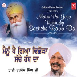 Mainu Pai Gaya Vichhorha Sachche Rabb Da Vol-56