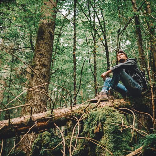 Music for Relaxation and Tranquility