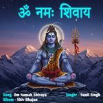 Om Namah Shivaya