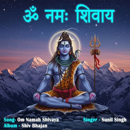 Om Namah Shivaya
